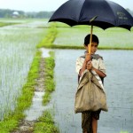 bangladesh : malnutrition - 